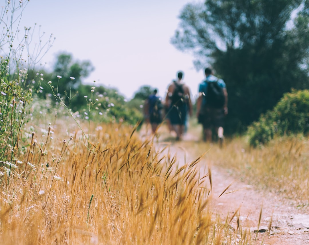 Découvrez les différences essentielles entre le trek et la randonnée pour mieux choisir votre prochaine aventure en pleine nature.